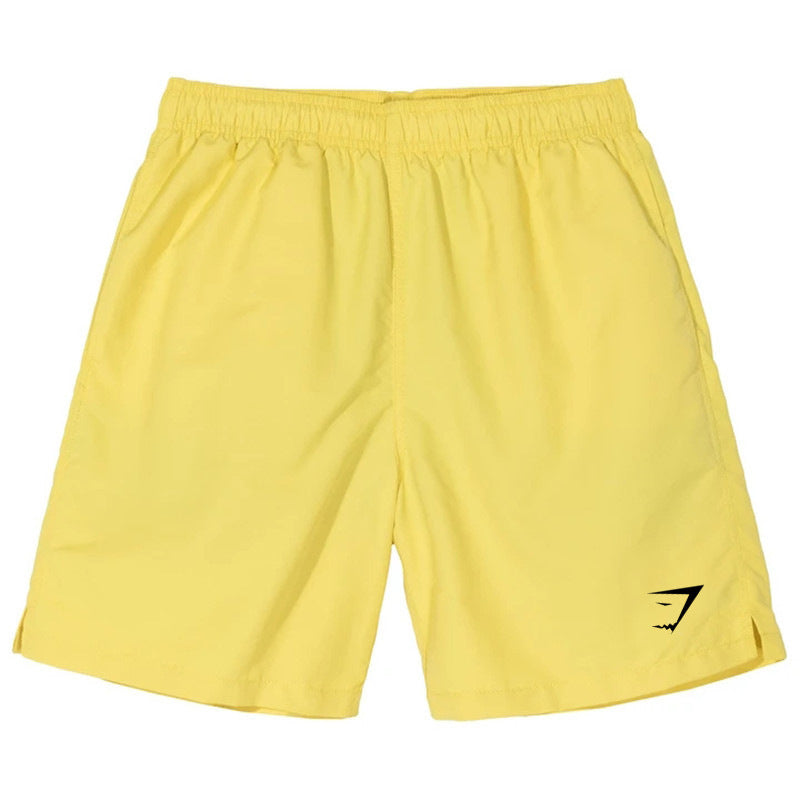 Men's Quick-Dry Sports Casual Shorts