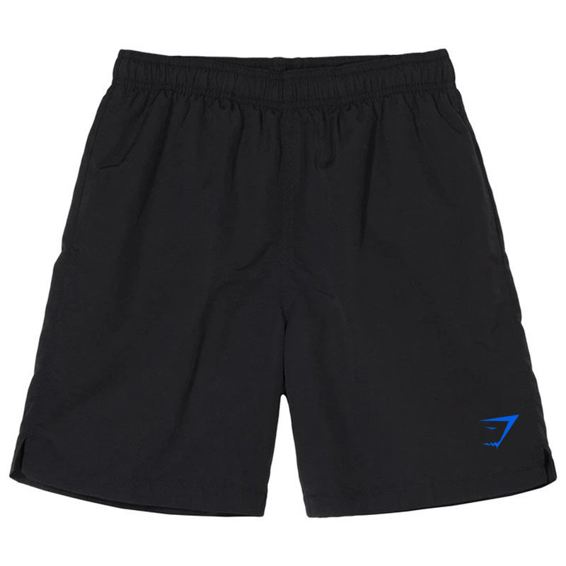 Men's Quick-Dry Sports Casual Shorts
