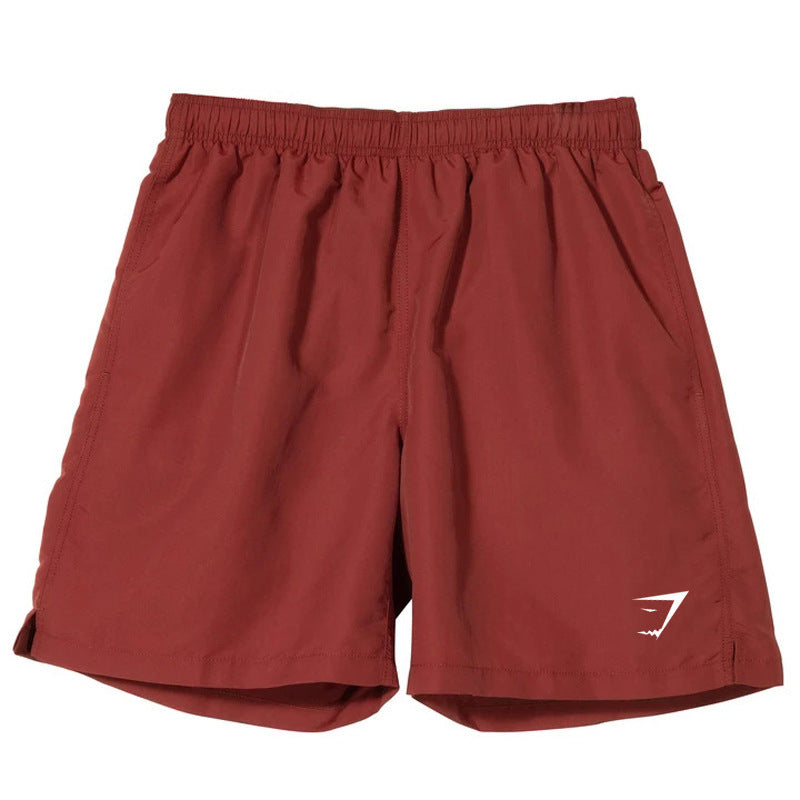 Men's Quick-Dry Sports Casual Shorts