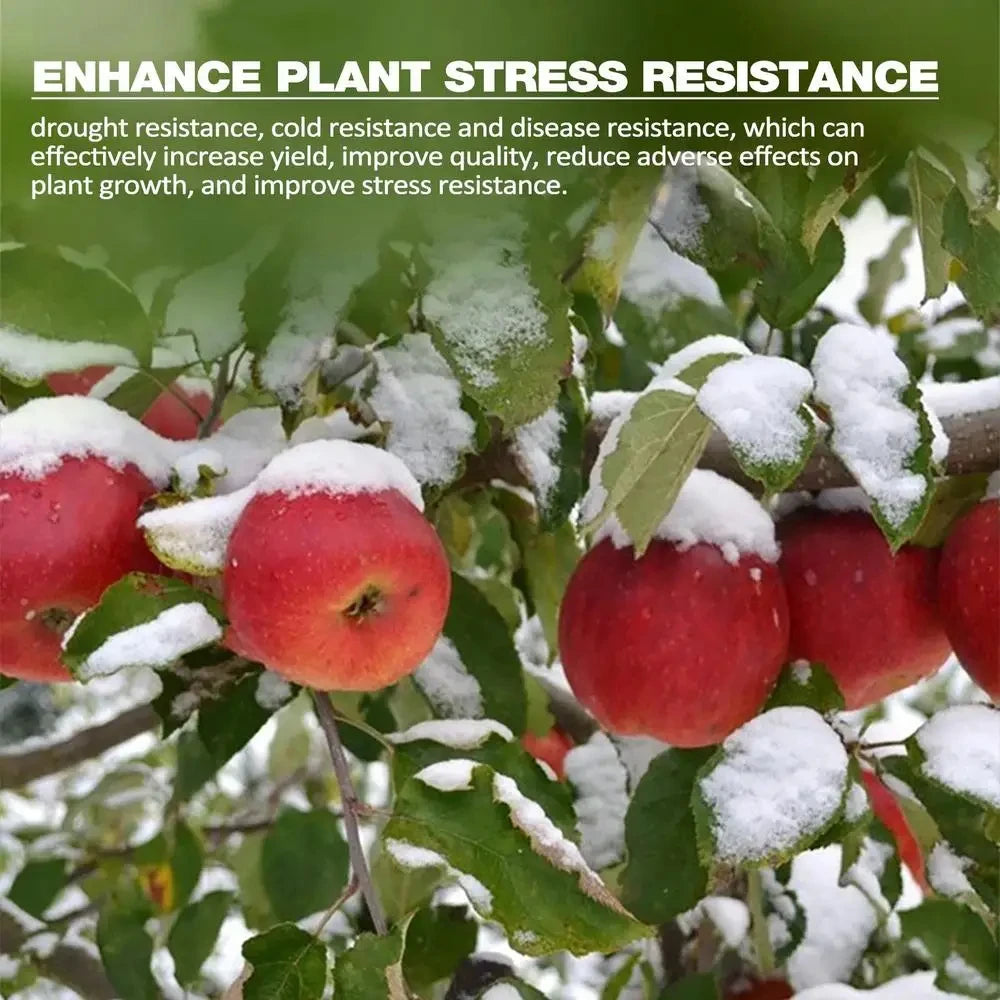 100g Soil Activator Mineral Source Potassium Humate Water Soluble Flower Fertilizer Loose Soil Acid Alkali Rooting Plant Nutriti